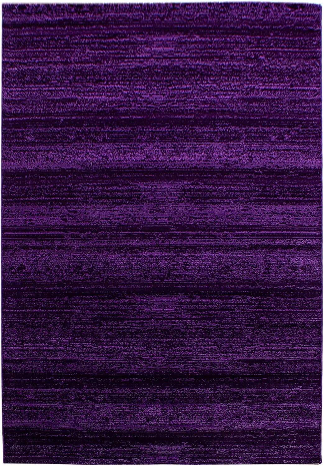 Carpetsale24 Teppich Wohnzimmer Unicolor - Einfarbig Lila Meliert 160 x 230 cm - Kurzflor Teppich Sc