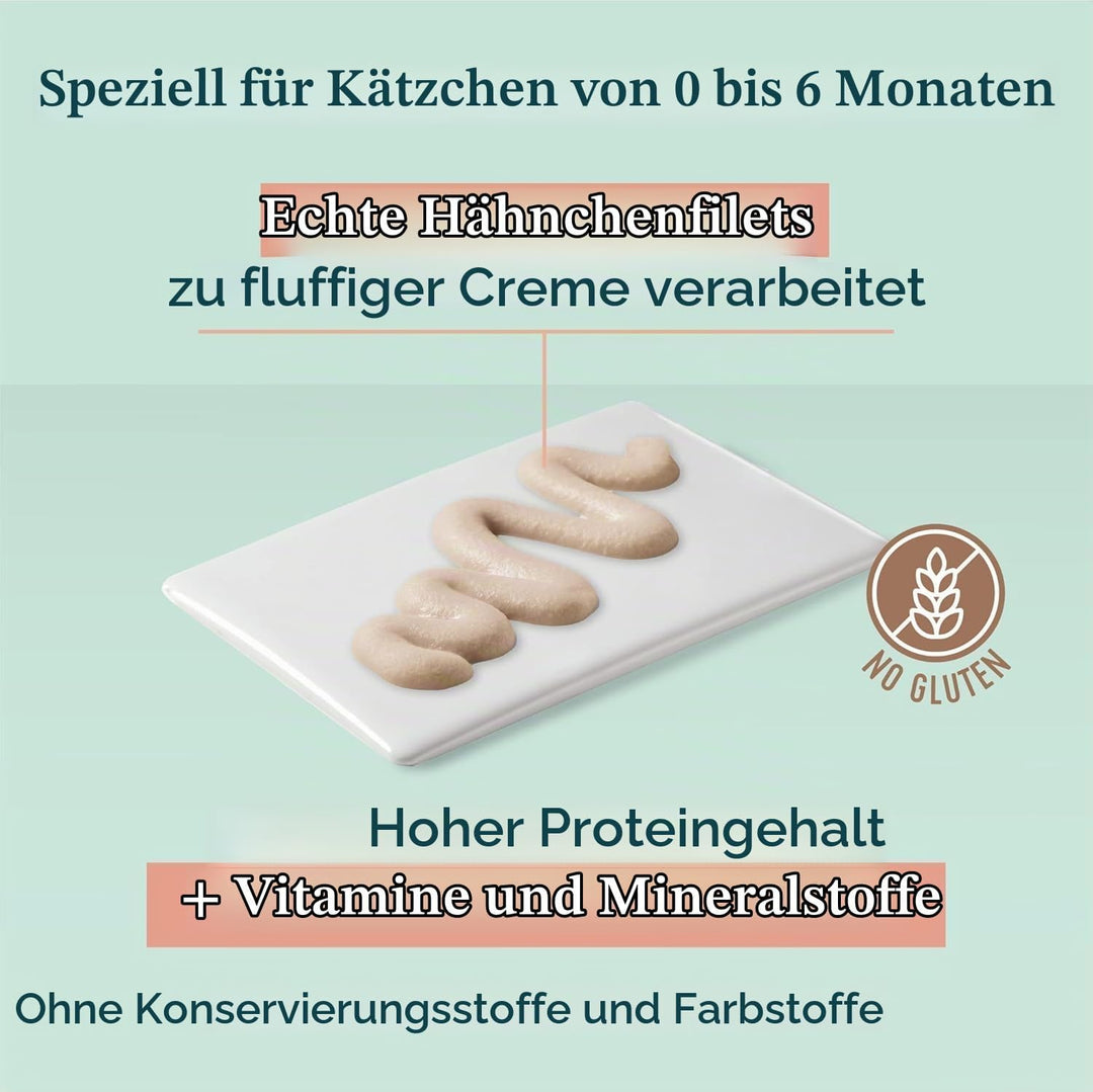 Schesir Cat Kitten Cream Huhn - Kitten Nassfutter für Junge Katzen - Hühner-Creme Katzenfutter nass