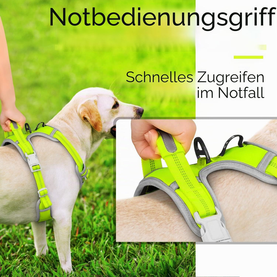 ThinkPet No-Pull Hundegeschirr, Atmungsaktiv Brustgeschirr für Kleine Mittlere Grosse Hunde, Einstel