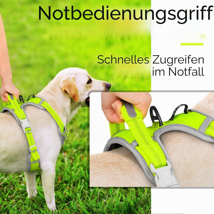 ThinkPet No-Pull Hundegeschirr, Atmungsaktiv Brustgeschirr für Kleine Mittlere Grosse Hunde, Einstel