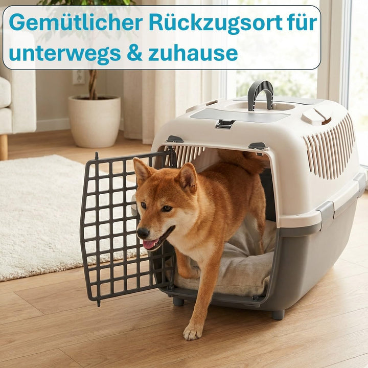 Nomade Hundebox - Transportbox für kleine Hunde und Katzen - Kann bis zu 6 kg tragen. Robustes Polyp