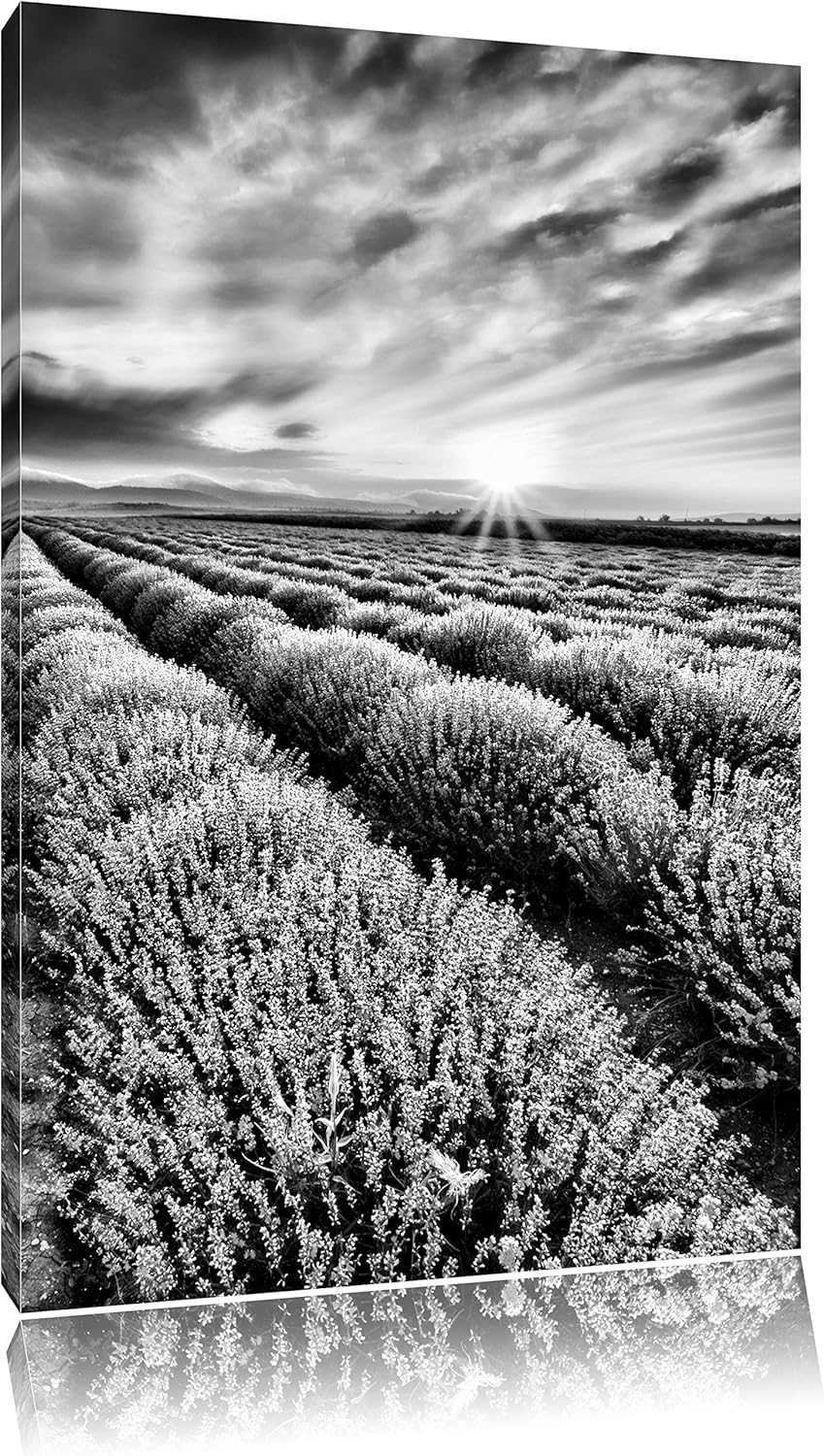 Pixxprint Traumhafte Lavendel Provence / 100x70cm Leinwandbild bespannt auf Holzrahmen/Wandbild Kuns