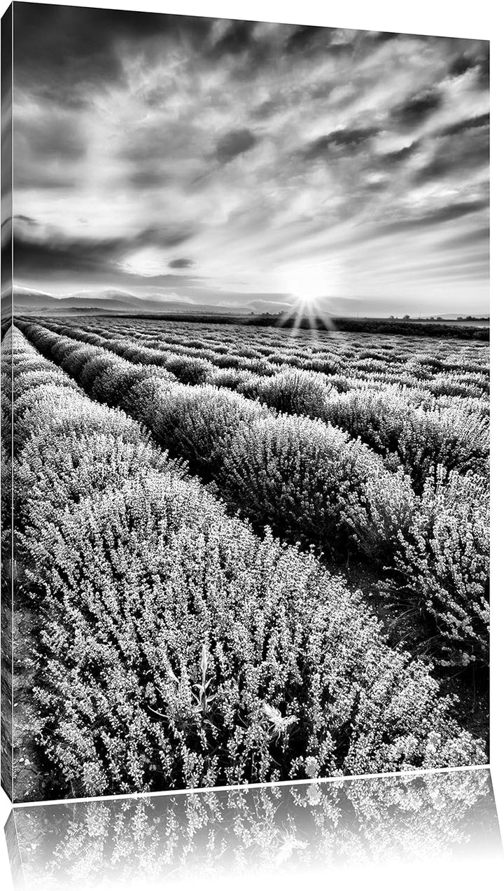 Pixxprint Traumhafte Lavendel Provence / 100x70cm Leinwandbild bespannt auf Holzrahmen/Wandbild Kuns