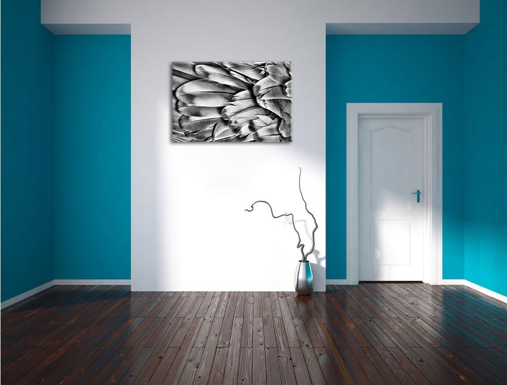 Pixxprint Monocrome, Bunte Papageienfedern, Format: 100x70 auf Leinwand, riesige Bilder fertig gerah