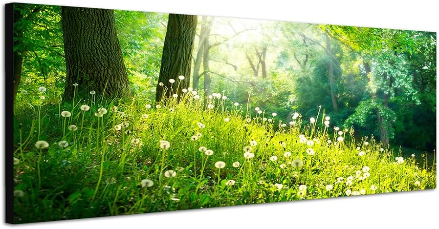 Paul Sinus Art Panoramabild auf Leinwand und Keilrahmen 150x50cm Wald Wiese Pusteblumen Frühling Son