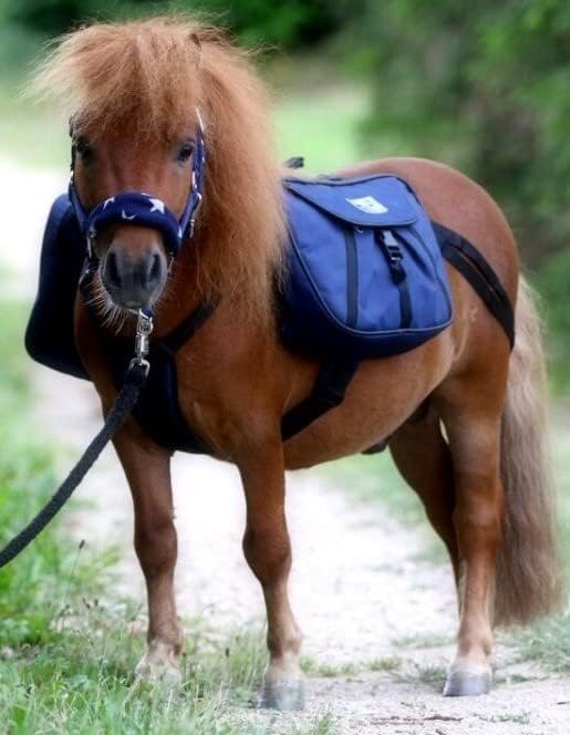 Tysons Breeches Rucksack Blau Trekking Satteltasche Wanderrucksack Packtaschen Minishetty Mini Shett