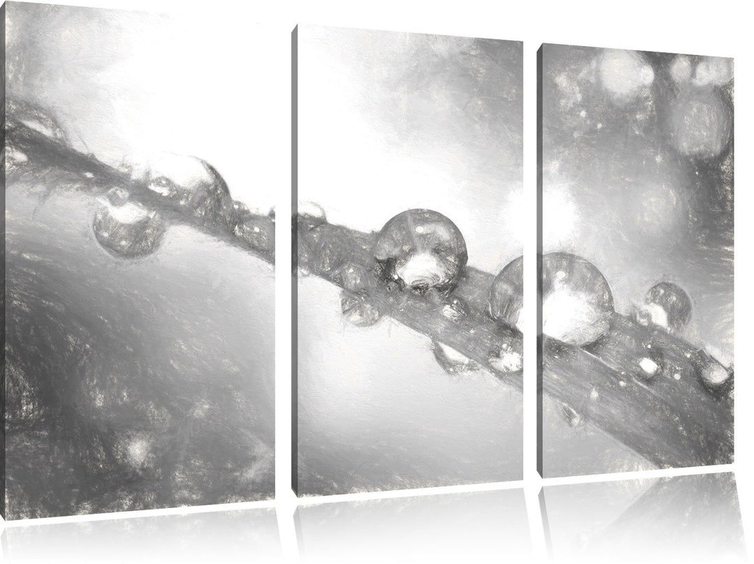 Pixxprint Wassertropfen auf Grashalm Kunst Kohle Effekt 3-Teiler Leinwandbild 120x80 Bild auf Leinwa