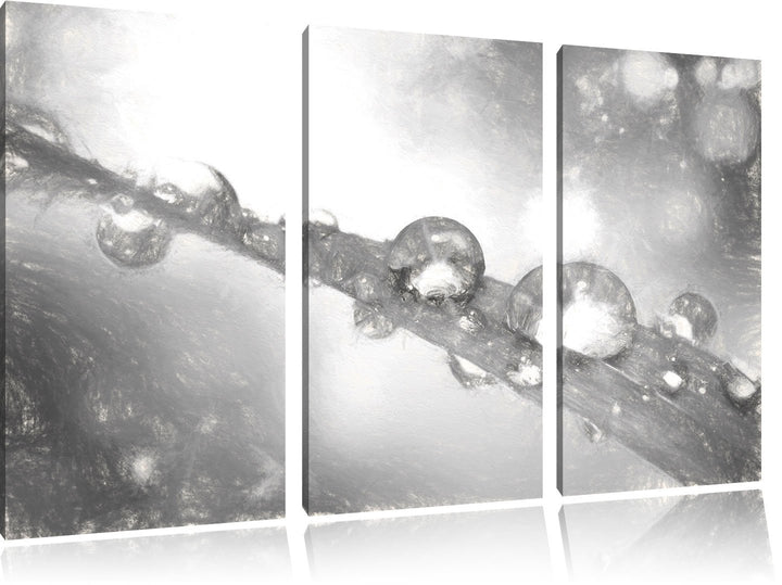 Pixxprint Wassertropfen auf Grashalm Kunst Kohle Effekt 3-Teiler Leinwandbild 120x80 Bild auf Leinwa