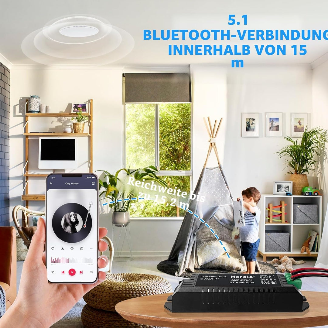 Herdio 2-Kanal Receiver System Bluetooth Home Audio AV-Receiver & -Verstärker für Passiv-Lautspreche