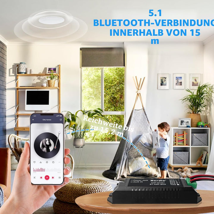 Herdio 2-Kanal Receiver System Bluetooth Home Audio AV-Receiver & -Verstärker für Passiv-Lautspreche