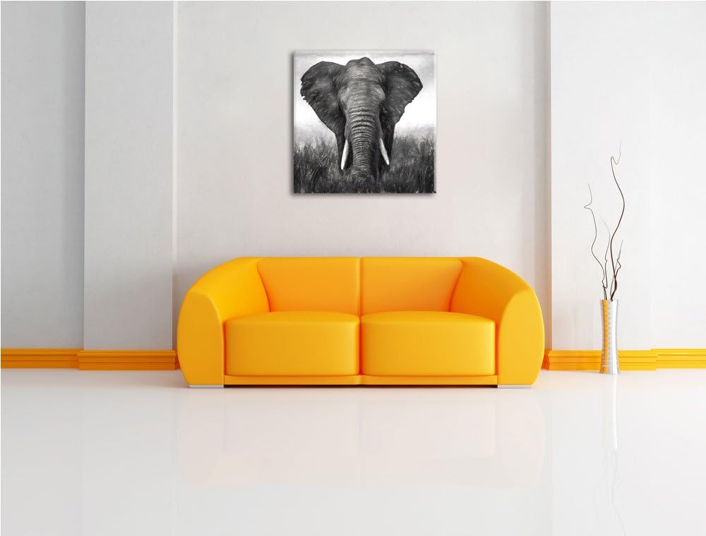 prachtvoller Elefant, Format: 70x70 als Leinwandbild, tolle Bilder fertig auf Holzrahmen gespannt, K