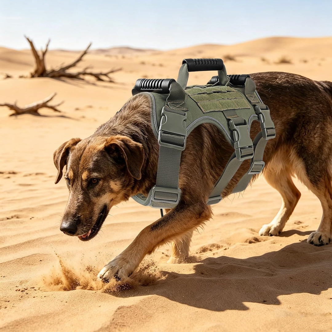 Taktisches Hundegeschirr Nylon reflektierend für grosse Hunde (Armeegrün) | Robustes Hundegeschirr A