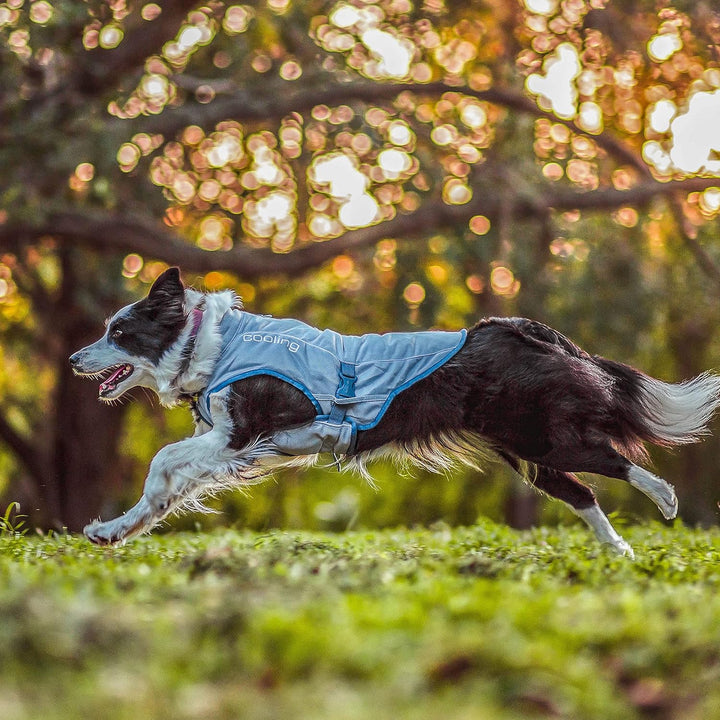 Kurgo Kühlweste für Hunde, Kühlt Nacken und Brust bei hohen Temperaturen, Reflektierendes Material,