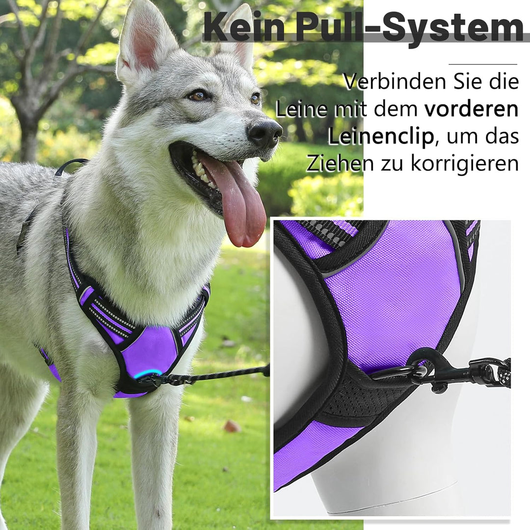 Hundegeschirr Mittelgrosse Grosse Hunde, Anti Zug Hundegeschirr Gepolstert mit Griff, Atmungsaktiv R