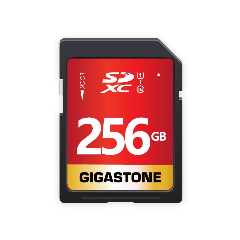 256GB Gigastone Pro SDXC 95MB Digital Card GS-SD-256 1-1PK-B