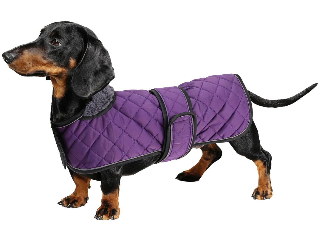 Geyecete - Warmer wintermantel für dackel Hunde,Hunde Winterjacken mit plüschfutter,Outdoor jacken m