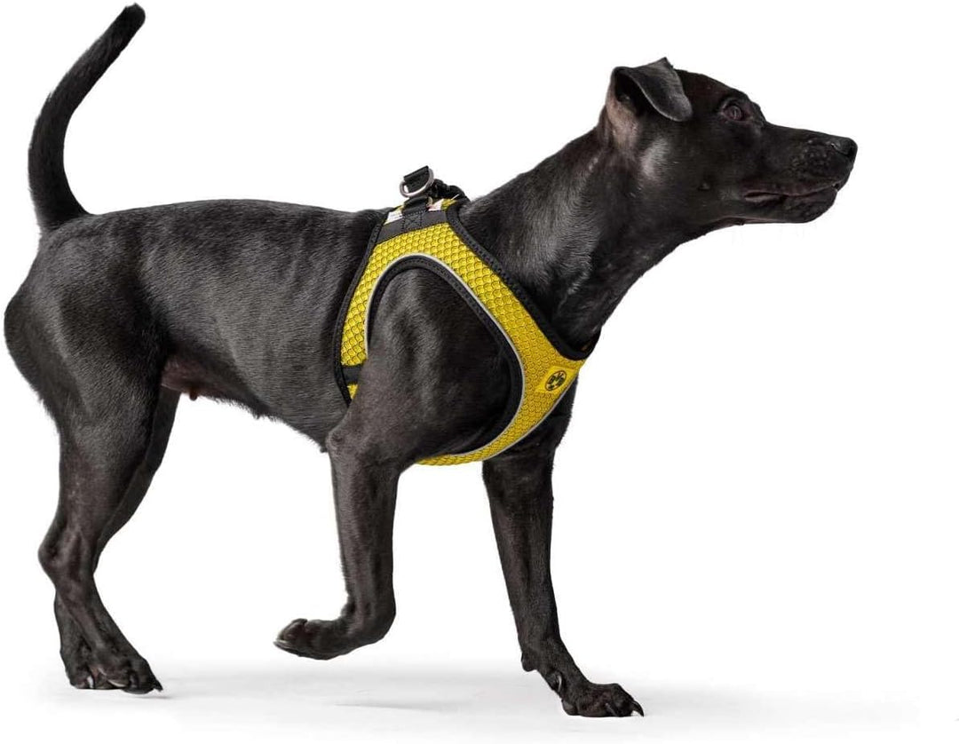 HUNTER HILO COMFORT BVB Hundegeschirr, mit 3D-Mesh-Material, reflektierend, M-L, gelb, 65 - 70 cm ge