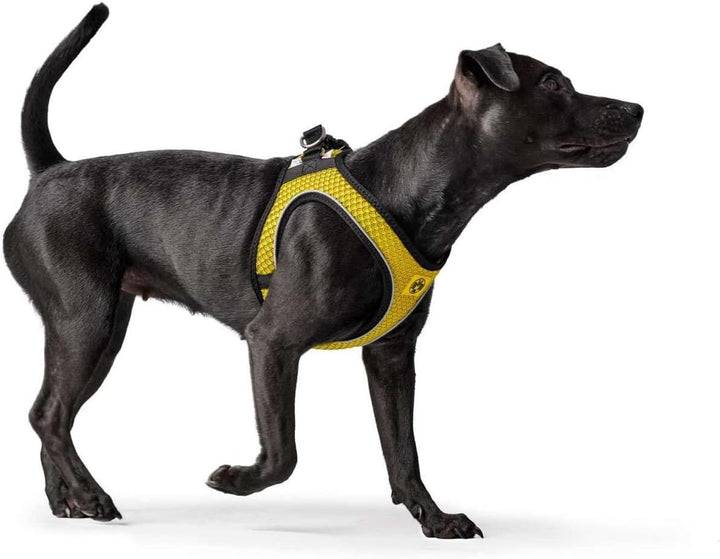 HUNTER HILO COMFORT BVB Hundegeschirr, mit 3D-Mesh-Material, reflektierend, M-L, gelb, 65 - 70 cm ge