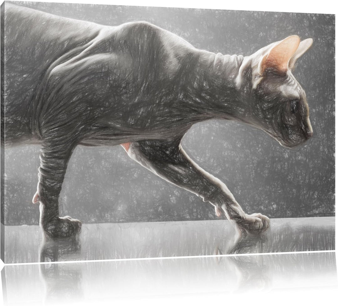 Pixxprint Einzigartige Sphynx Katze / 100x70cm Leinwandbild bespannt auf Holzrahmen/Wandbild Kunstdr