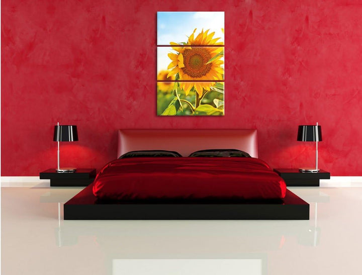 Pixxprint Sonnenblumenfeld SonnenblumeSonne als Leinwandbild/Grösse: 3 Teilig (120x80) cm/Wandbild/K