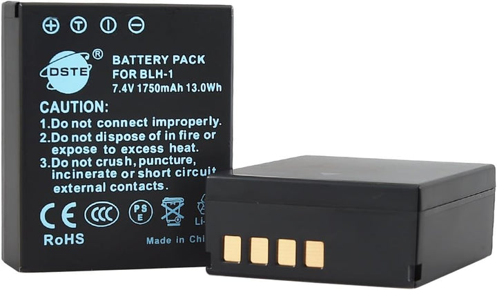 DSTE 2-Pack Ersatz Batterie und DC166E Reise Ladegerät Compatible für Olympus BLH-1 BLH1 EM1 E-M1 Ma