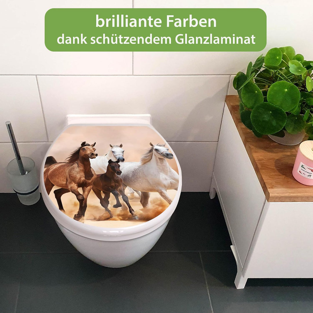banjado Toilettendeckel mit Absenkautomatik 44,5x37cm - Soft Close Toilettensitz - WC Sitz mit Absen