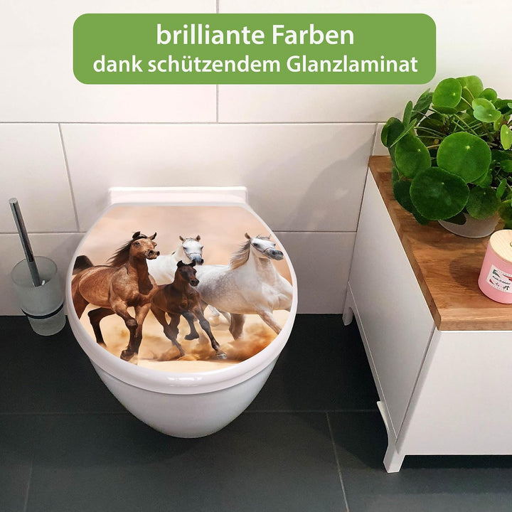 banjado Toilettendeckel mit Absenkautomatik 44,5x37cm - Soft Close Toilettensitz - WC Sitz mit Absen