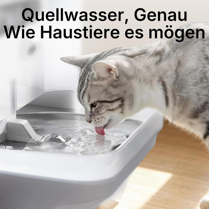 PETKIT EverSweet Ultra Katzen Trinkbrunnen mit KI-Kamera, 5L Frisch/Abwassertrennung, Filterloses De