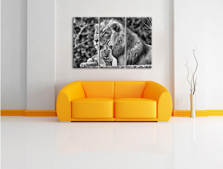 Pixxprint Lieber Löwe mit Jungtier als Leinwandbild/Grösse: 3 Teilig (120x80) cm/Wandbild/Kunstdruck