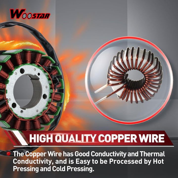 WOOSTAR 18 Spule 3 Draht Magneto Stator Ersatz für FZ6 FZ6N FZ6S Pocketbike 2004-2009 Motor, FZ6