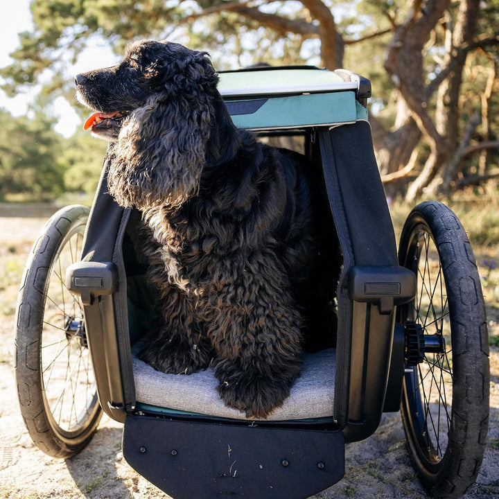 Thule Bexey Hundeanhänger grün M, grün M