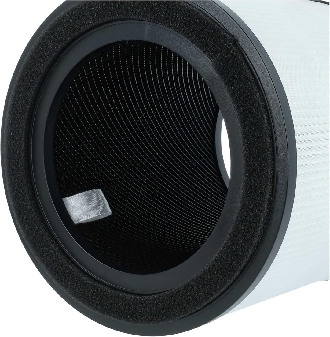 vhbw H13 Filter Ersatz für AEG AFFBRZ2, AFFCAR2 für Luftreiniger - Ersatz-Filter