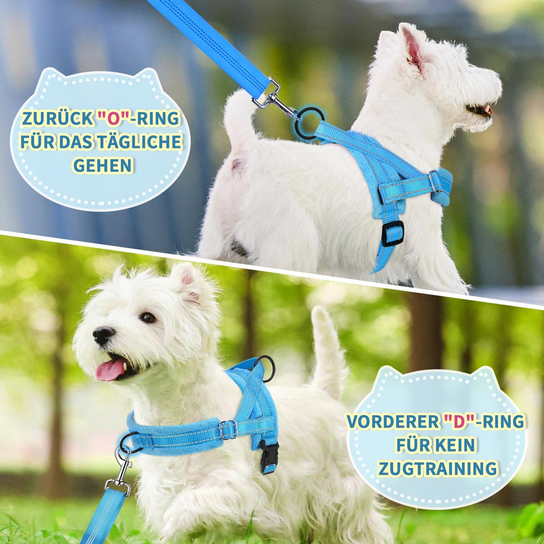 Eyein Hundegeschirr mit Leine für mittelgrosse Kleine Hunde, Weich gepolsterter No-Pull Brustgeschir