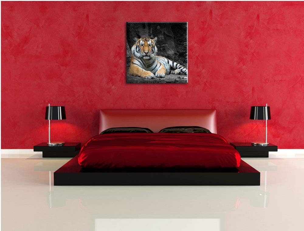 ruhender Löwe schwarz/weiss, Format: 70x70 auf Leinwand, XXL riesige Bilder fertig gerahmt mit Keilr