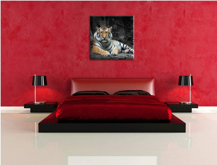ruhender Löwe schwarz/weiss, Format: 70x70 auf Leinwand, XXL riesige Bilder fertig gerahmt mit Keilr