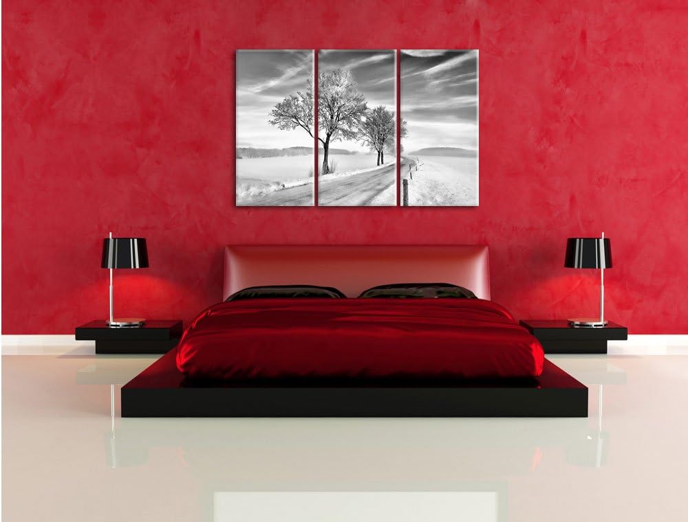 Pixxprint Baum im Schnee als Leinwandbild/Grösse: 3 Teilig (120x80) / Wandbild/Kunstdruck/fertig bes