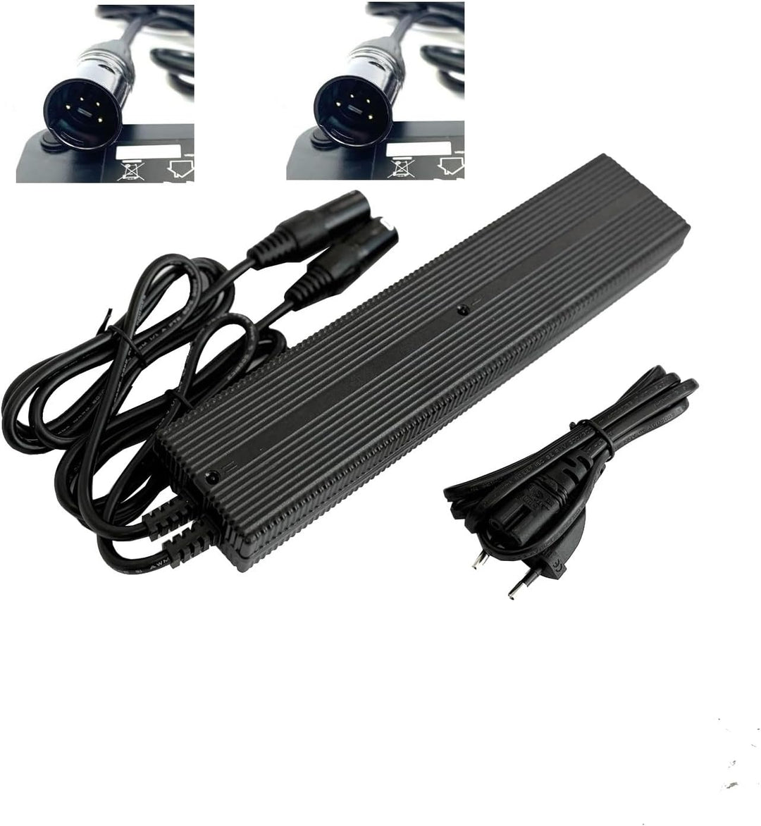 Enerpower Li-Ion Duales Ladegerät 36V ersetzt Derby Cycle Impulse 2A -XLR-4 für Kalkhoff, Raleigh Do