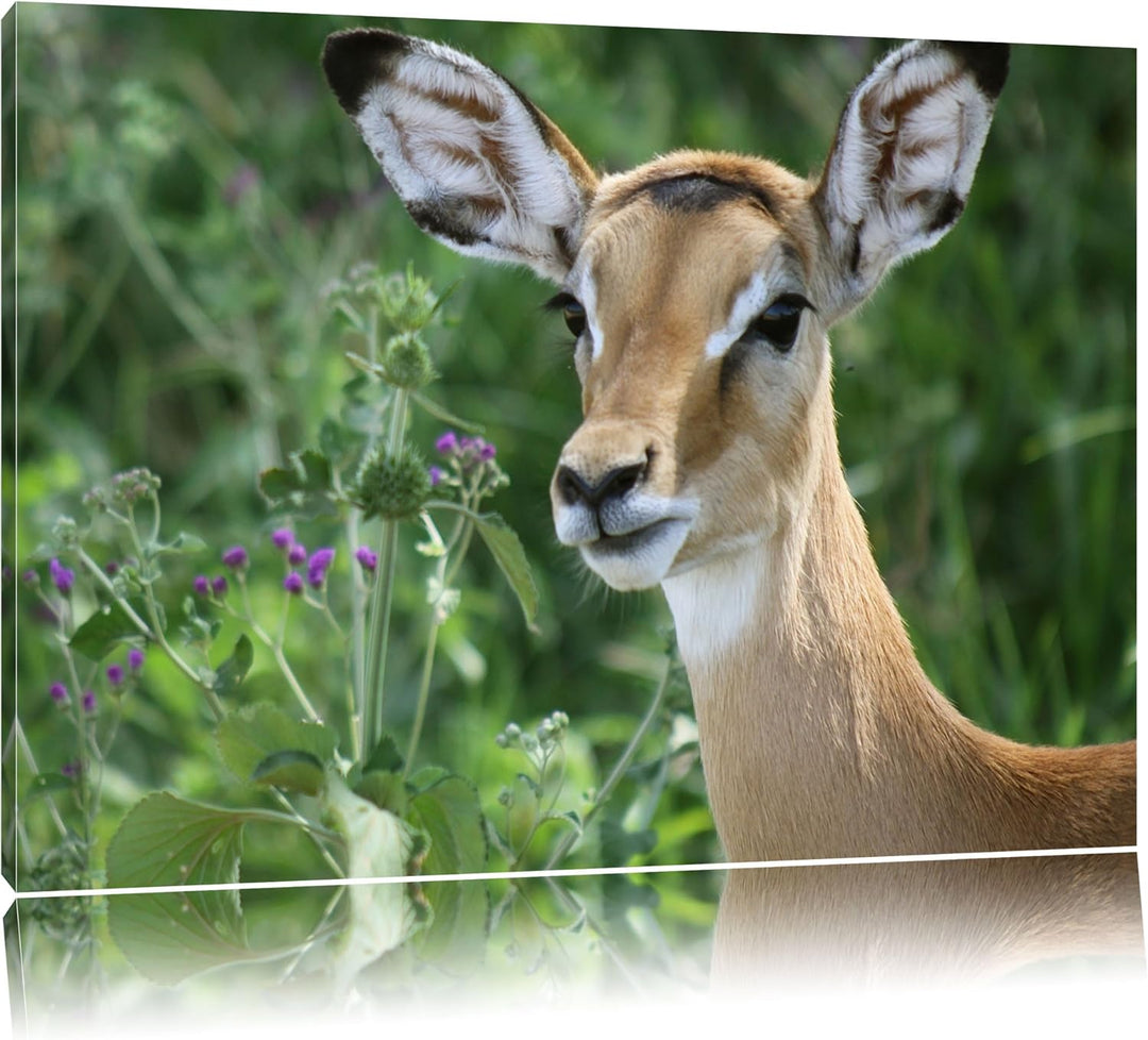 niedliches Reh vor hoher Wiese Leinwand, XXL riesige Bilder fertig gerahmt mit Keilrahmen, Kunstdruc