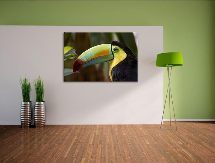 Pixxprint schöner Tukan auf Leinwand, XXL riesige Bilder fertig gerahmt mit Keilrahmen, Kunstdruck a