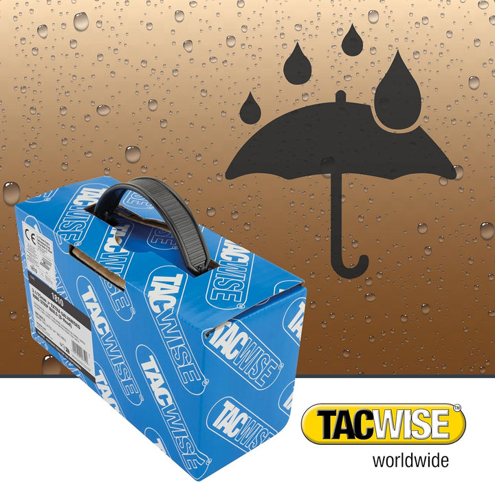 Tacwise 1810 Extra Verzinkte Rahmennägel 3,1/75 mm, D‘-Kopf, Ringschaft, mit 34° Neigung, Papiergebu