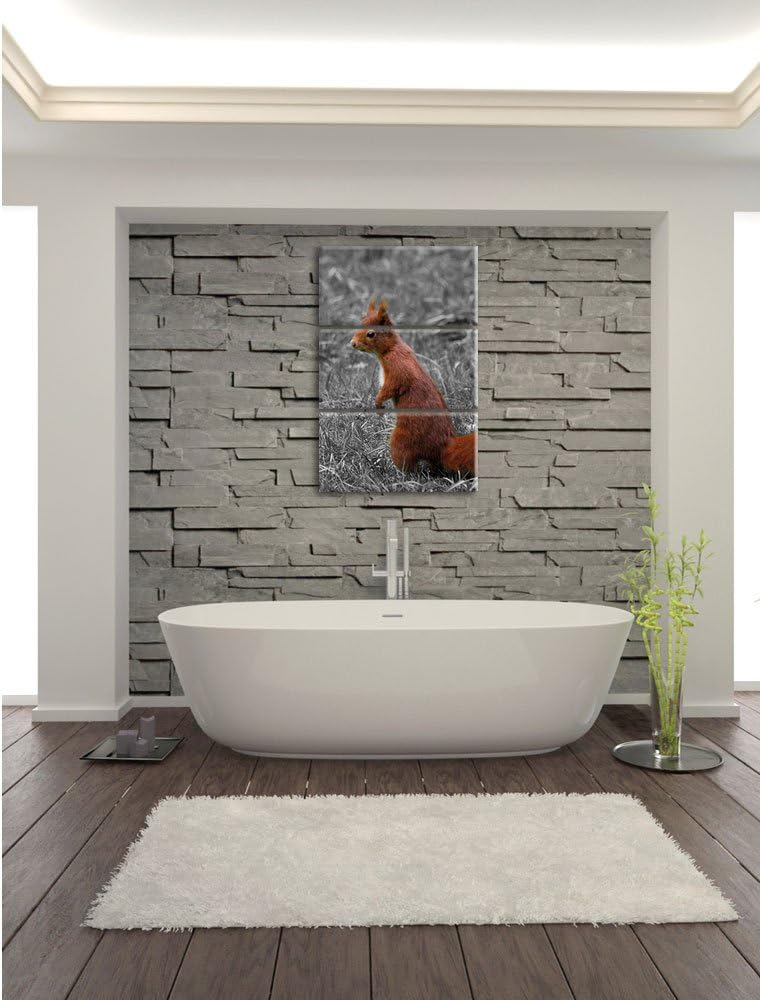 Pixxprint kleines Eichhörnchen auf Waldboden schwarz/weiss 3-Teiler Leinwandbild 120x80 Bild auf Lei