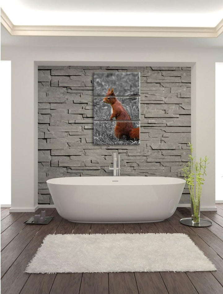 Pixxprint kleines Eichhörnchen auf Waldboden schwarz/weiss 3-Teiler Leinwandbild 120x80 Bild auf Lei