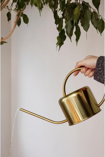 Kikkerland Giesskanne, Metall, Gold, 37.5 x 13 x 19.5 cm
