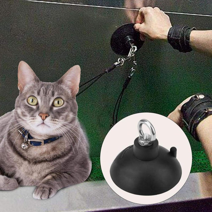 Hunde und Katzenbadeleine, Saugnapf, Haustierdusche, Haltegurt, weiche Nylonleine mit verstellbarem