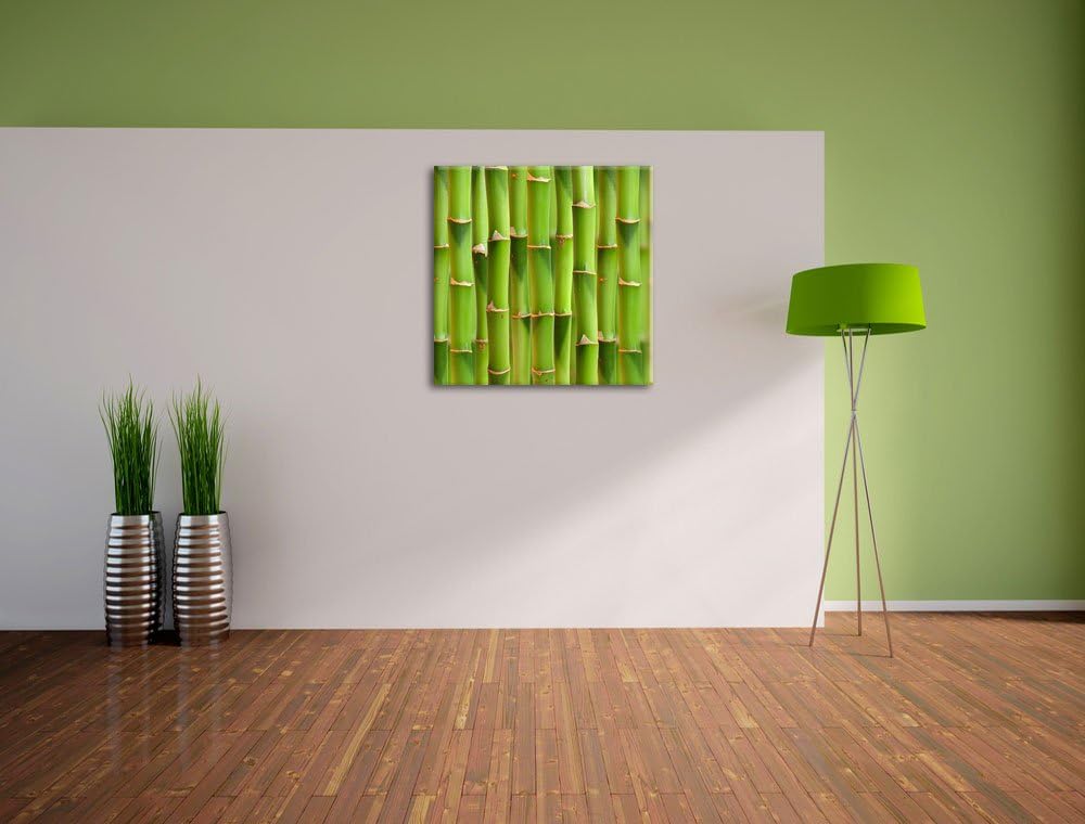 Grüner frischer Bambus, Format: 70x70 auf Leinwand, XXL riesige Bilder fertig gerahmt mit Keilrahmen