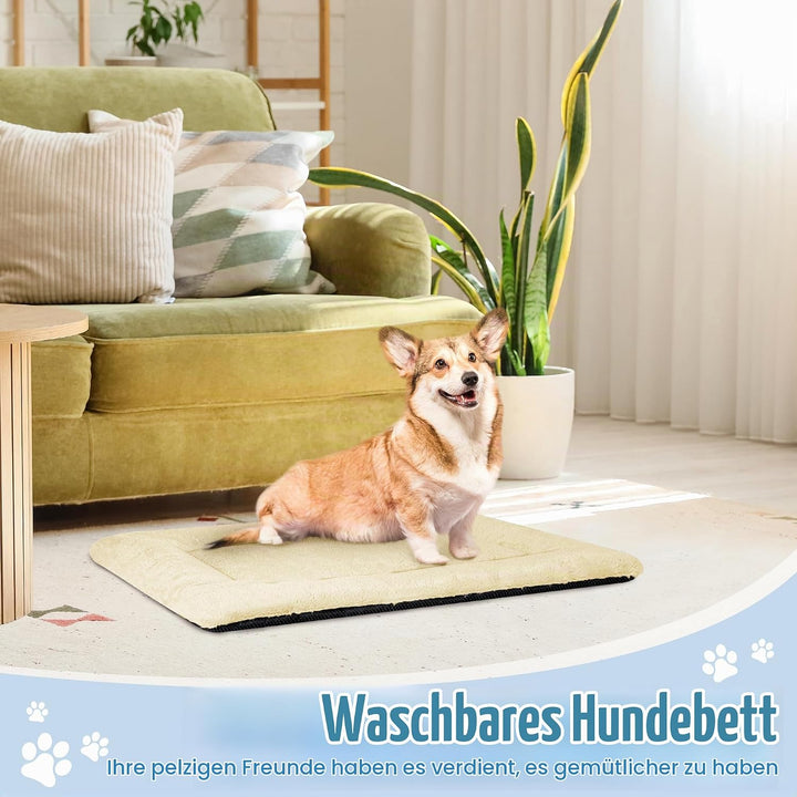 Baodan Hundebett Mittelgrosse Kleine Hunde, Hundekissen Waschbar für kleine mittelgrosse Hunde, Dog
