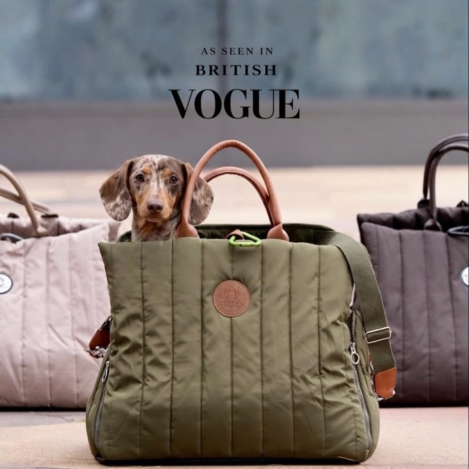 Flying Dog Hundetasche Sunny 3-in-1 Tragetasche, Autositz & Reisebett für kleine Hunde bis 10 kg. Ol