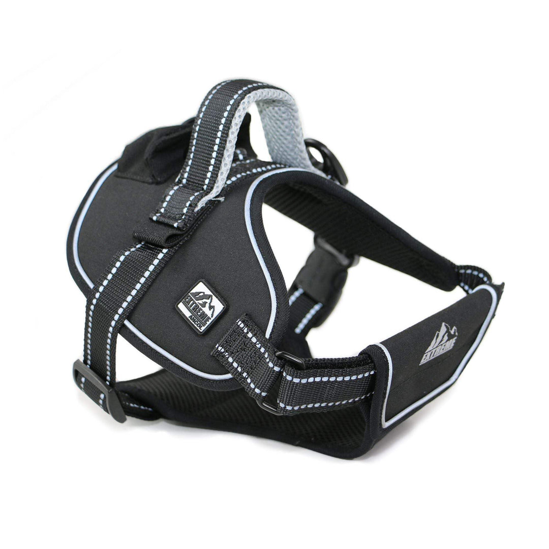 Ancol Hundegeschirr, Grösse M, 68-86 cm, Schwarz Schwarz M, Schwarz M
