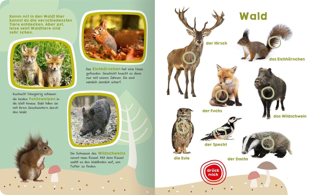 Mein grosses Buch der Tiergeräusche: Mit 50 Sounds | Hochwertiges Soundbuch mit realistischen Sounds