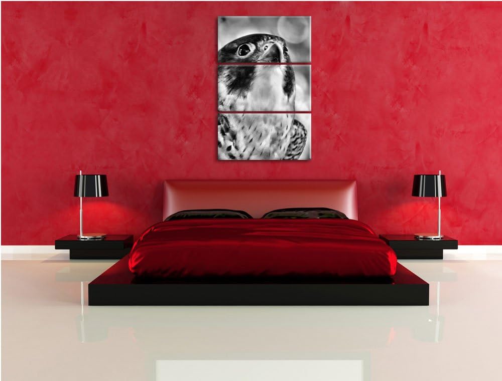 Pixxprint schöner Grauer Adler als Leinwandbild/Grösse: 3 Teilig (120x80) cm/Wandbild/Kunstdruck/fer